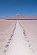 Path leading to Laguna (Lake) Miscanti in the Chilean Desert Path leading to Laguna (Lake) Miscanti in the Chilean Desert