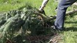 Video: Gartenarbeit ( Baum zerkleinern mit einer Handsäge ) Gartenarbeit ( Baum zerkleinern mit einer Handsäge )