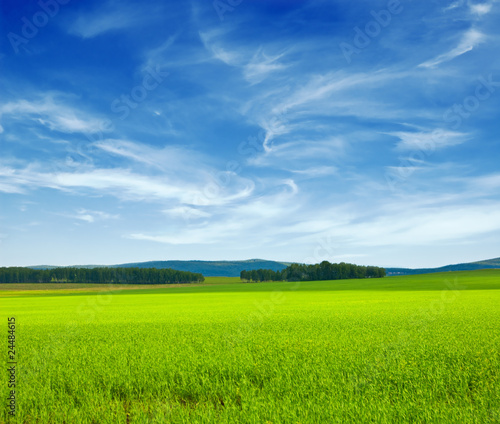 Photo: landscape landscape