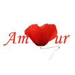 Amour (Coquelicot)