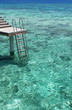 Foto: Come Step Into The Sea Come Step Into The Sea