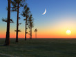 Illustration: Trees Moon and Sun Trees Moon and Sun