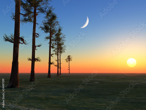 Illustration: Trees Moon and Sun Trees Moon and Sun