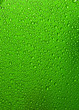 Water drops on green