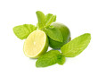 Limes and mint isolated on white background