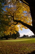 Foto: Golfplatz Golfplatz