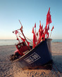 Fishing Boat, Baltic Sea in Poland
