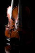 Beautiful old violin