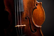 Beautiful old violin