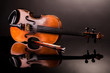 Beautiful old violin