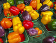 Multi-Colored peppers at Farmers Market