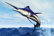 MARLIN JUMP