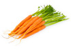 Fresh carrots isolated on the white