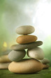 Rock garden