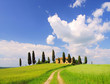 Podere 16