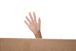 main qui dépasse d'un carton