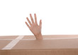 main qui dépasse d'un carton