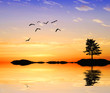 el arbol y los pajaros