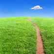Sentiero silenzioso nel verde