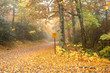Alone on Blue Ridge Parkway