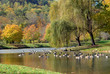 Asheville in Fall