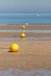 plage et bouée