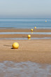 plage et bouée plage et bouée