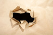 Ripped brown paper