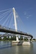 passerelle sur le rhin à strasbourg