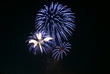 Feu d'artifice 15