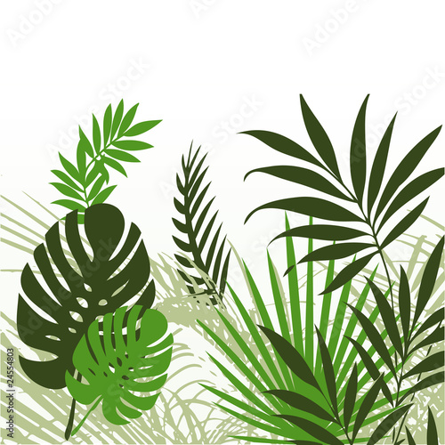 Vektor: Tropical Leaves 01 Tropical Leaves 01