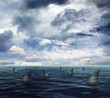 sharks in ocean