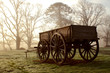 Old Cart