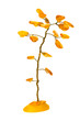 amber tree