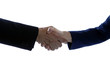 Business people handshake