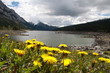 Medicine Lake