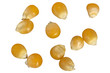 Pop Corn