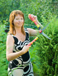 woman cutting  thuja