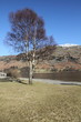 Ullswater