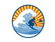 surfer04