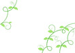 green summer frame