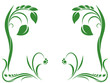 Green ornament with leaf