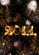 2010 made of sparks and fireworks vertical