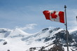 Flagge am Gletscher
