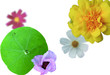 Flower collage