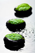 spa stone and leaf in water