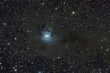 Iris Nebula, NGC 7023. Reflection nebula in Cepheus. Iris Nebula, NGC 7023. Reflection nebula in Cepheus.