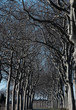 Route de campagne