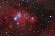 Nebular complex in Monoceros constellation. Nebular complex in Monoceros constellation.