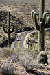 Desert Road 4